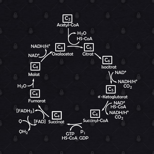 Citric Acid Cycle Biochemistry Biochemist Biology by Krautshirts
